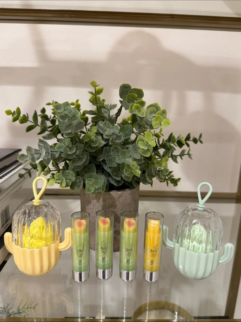 Cactus Make Up Sponge and Lip Balm Set